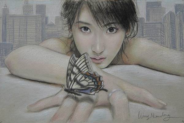 Motýli36a